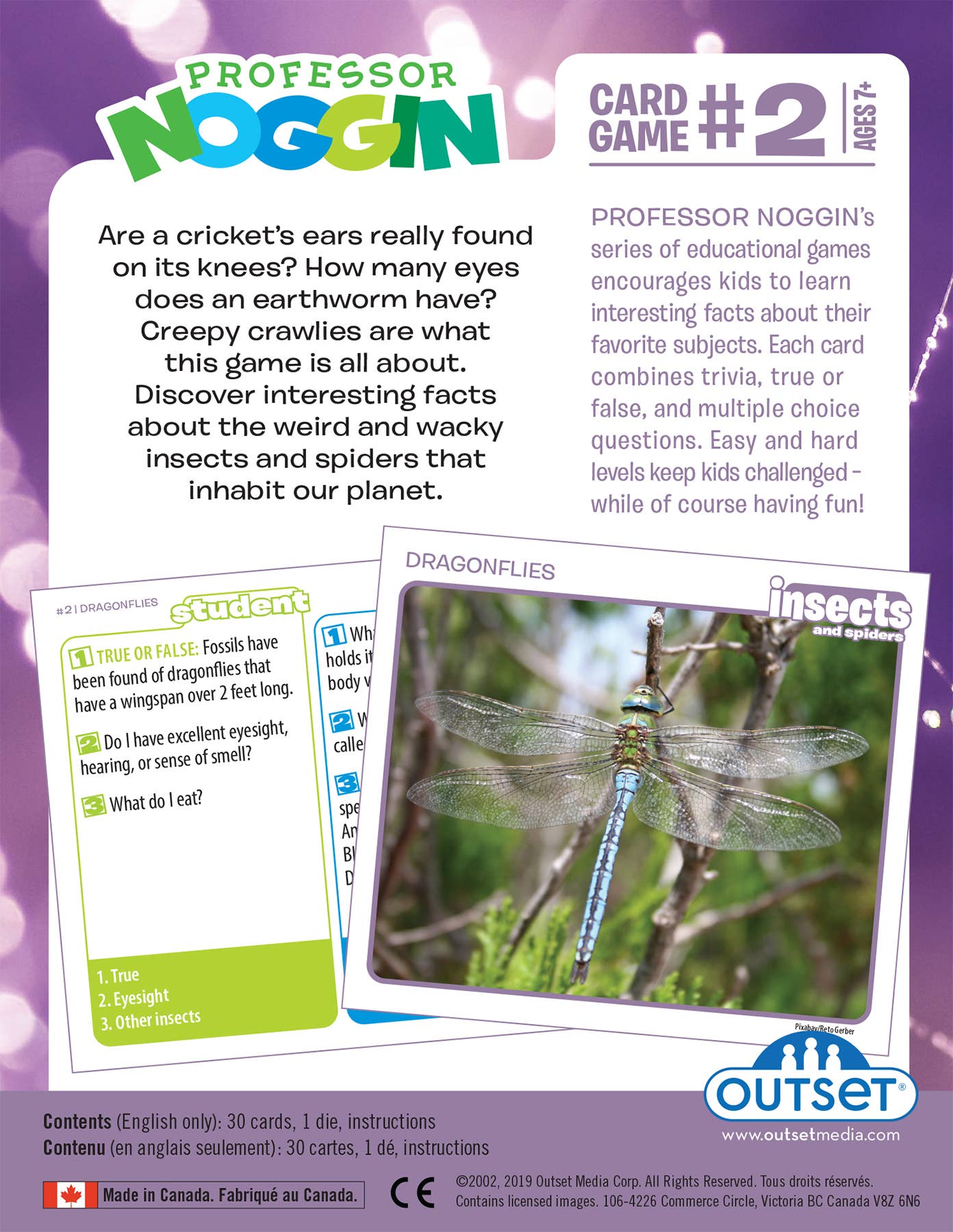 Prof. Noggin Insects and Spiders Card Game
