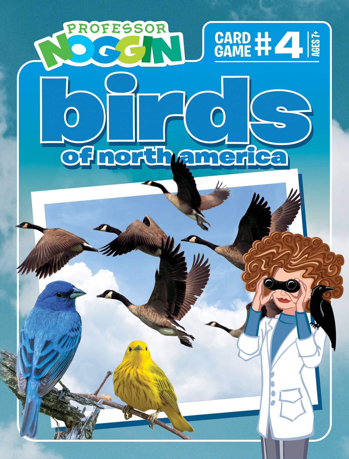 Prof. Noggin's Birds of North America Card Game