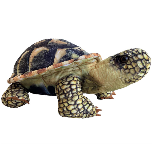 Spurred Tortoise Plush 13" Stuffed Animal