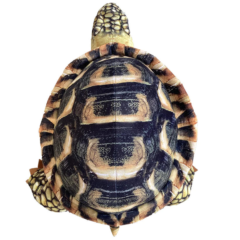 Spurred Tortoise Plush 13" Stuffed Animal