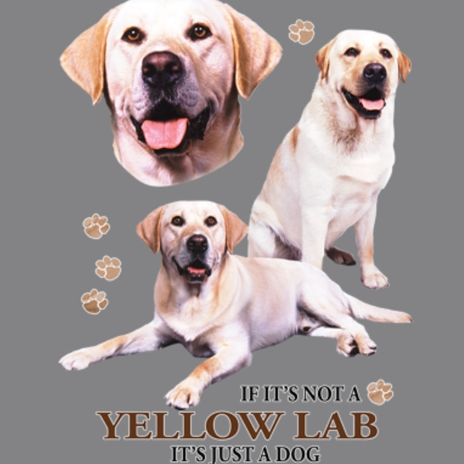 YELLOW LAB