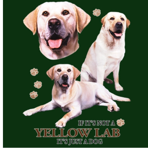 YELLOW LAB
