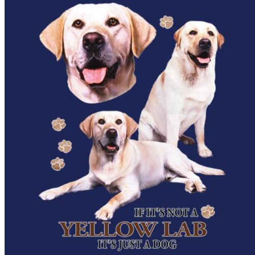 YELLOW LAB