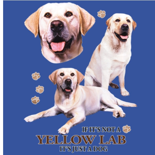 YELLOW LAB