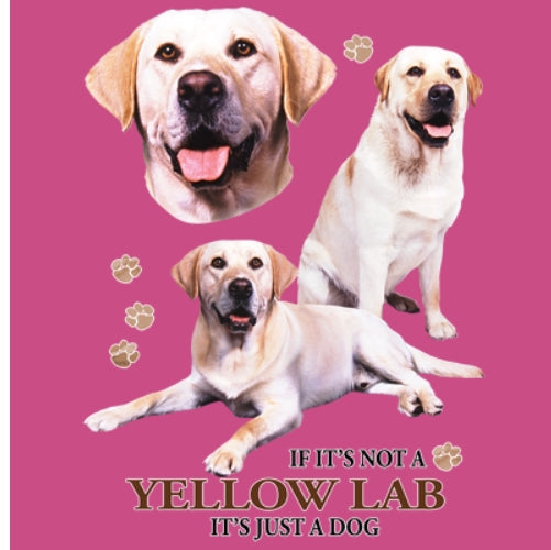 YELLOW LAB