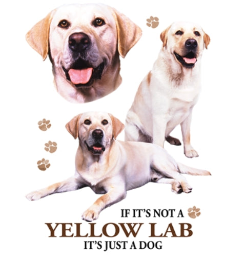 YELLOW LAB